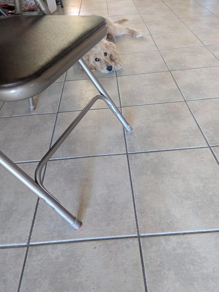 Obrazek #1 z Aleksandra